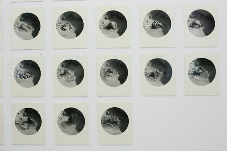 Tableau d&rsquo;eclats, 2013  &raquo; Klicken zum Vergr&ouml;ssern ->