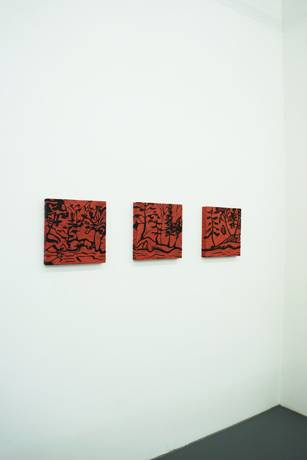 Gian Häne  » Klicken zum Vergrössern ->