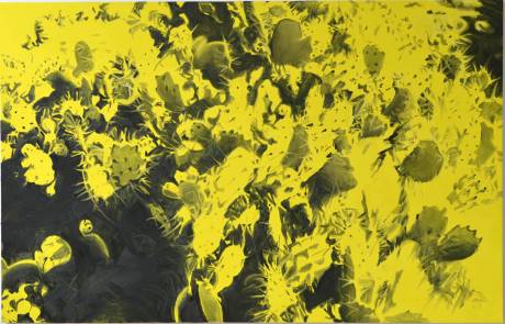 Ladina Gaudenz  » Klicken zum Vergrössern ->