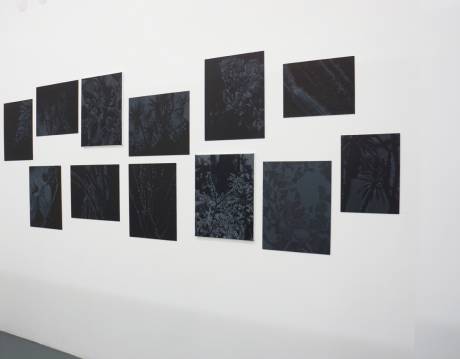 Ladina Gaudenz  » Klicken zum Vergrössern ->