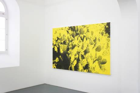 Ladina Gaudenz  » Klicken zum Vergrössern ->