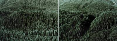 Florio Puenter – God 3, 2004.  » Klicken zum Vergrössern ->