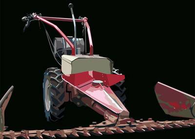 Rapid 101, 2005.  » Klicken zum Vergrössern ->