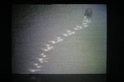 Fuxjagd, 2003/06.  » Klicken zum Vergrössern ->