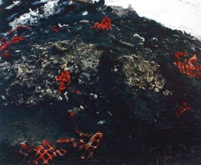 Unit BRN, 2006.  » Klicken zum Vergrössern ->