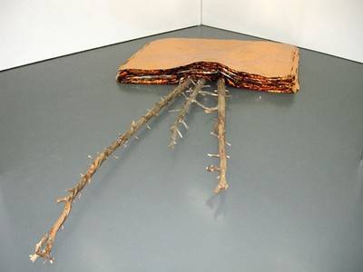 Schneefall, 2007 (Zitat J.B.).  » Klicken zum Vergrössern ->