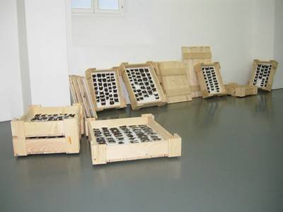 PASCAL SCHWAIGHOFER, Body-building (Rorschachtest), 2007.  » Klicken zum Vergrössern ->