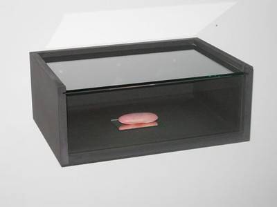 ISABELLE KRIEG. Die Welt entdecken, 2006.  » Klicken zum Vergrössern ->