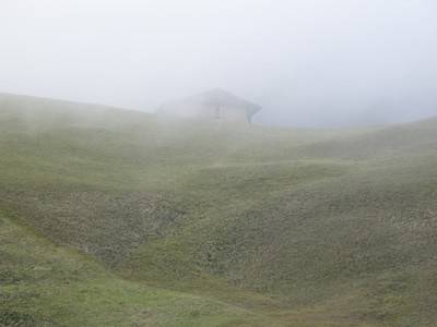 Spina, 2008.  &raquo; Klicken zum Vergr&ouml;ssern ->