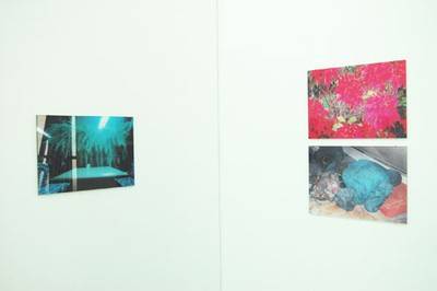 Jules Spinatsch. Pflanze attackiert Tisch, 1999.  » Klicken zum Vergrössern ->