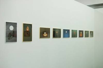 Isabelle Krieg. Tapfere Blumen, 2007.  » Klicken zum Vergrössern ->