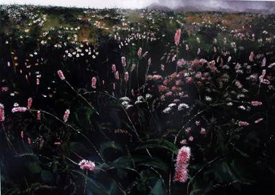 Leta Peer. Wiesen bei Lü, GF # 108, 2008.  » Klicken zum Vergrössern ->