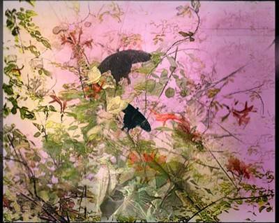 Ursula Palla. Paradies, 2007.  » Klicken zum Vergrössern ->