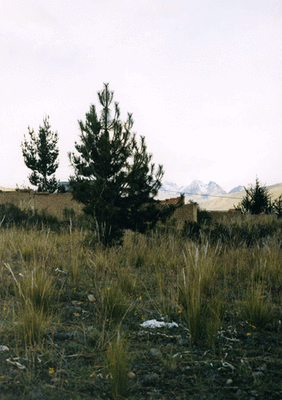 Versuch im Abendlicht, 2007.  » Klicken zum Vergrössern ->