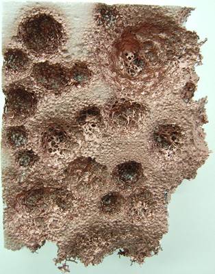 Pascal Schwaighofer. Say Hello To Mars, 2008.  » Klicken zum Vergrössern ->