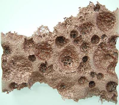 Pascal Schwaighofer. Say Hello To Mars, 2008.  » Klicken zum Vergrössern ->