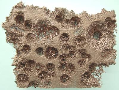 Pascal Schwaighofer. Say Hello To Mars, 2008.  » Klicken zum Vergrössern ->