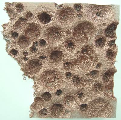 Pascal Schwaighofer. Say Hello To Mars, 2008.  » Klicken zum Vergrössern ->