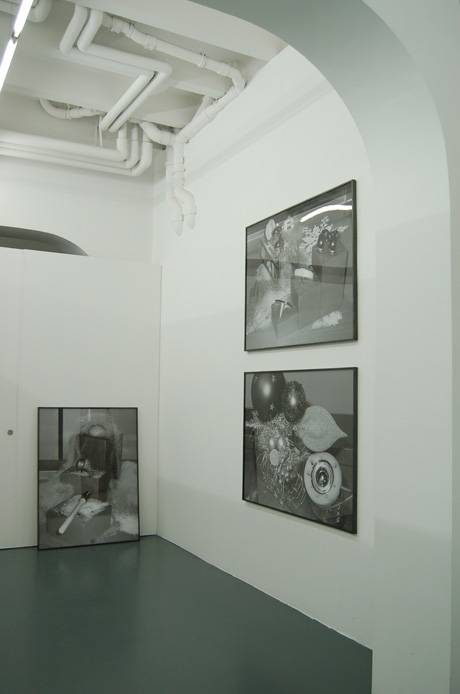 Endo Display, 2008.  &raquo; Klicken zum Vergr&ouml;ssern ->