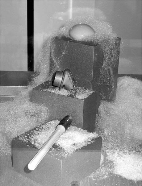 Endo Display, H 2973, 2008.  » Klicken zum Vergrössern ->