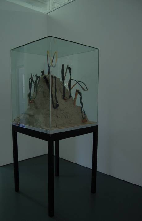 Slingshot Mountain, 2009.  &raquo; Klicken zum Vergr&ouml;ssern ->