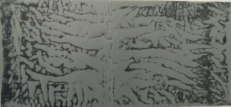 Independenta, Jan. 29 1979, 95 000.  » Klicken zum Vergrössern ->