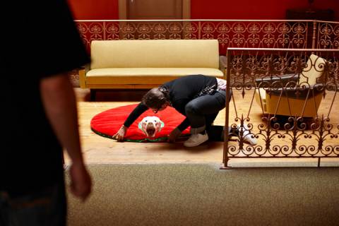 Bild: &copy; Ralph Feiner  &raquo; Klicken zum Vergr&ouml;ssern ->