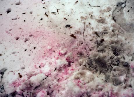 Gaudenz Metzger  » Klicken zum Vergrössern ->