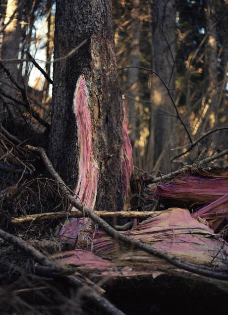 Gaudenz Metzger  » Klicken zum Vergrössern ->