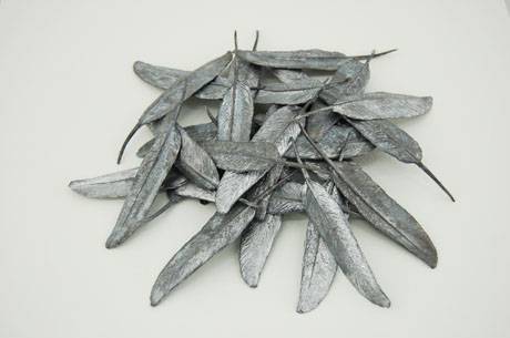 Plum(e)bum, 2010/11.  » Klicken zum Vergrössern ->