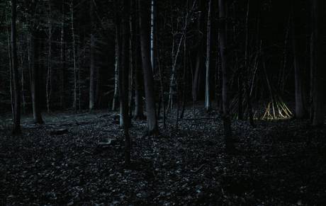 wiedemann/mettler  &raquo; Klicken zum Vergr&ouml;ssern ->