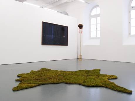 Natur I  &raquo; Klicken zum Vergr&ouml;ssern ->