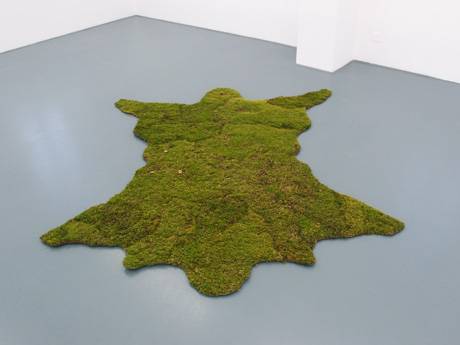 Remo Albert Alig  &raquo; Klicken zum Vergr&ouml;ssern ->