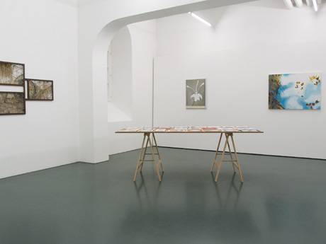 Natur II  &raquo; Klicken zum Vergr&ouml;ssern ->