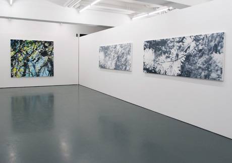 Ladina Gaudenz  » Klicken zum Vergrössern ->