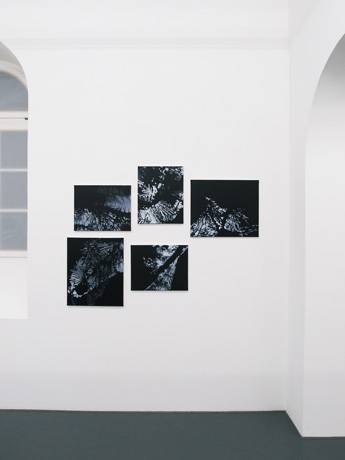 Ladina Gaudenz  » Klicken zum Vergrössern ->