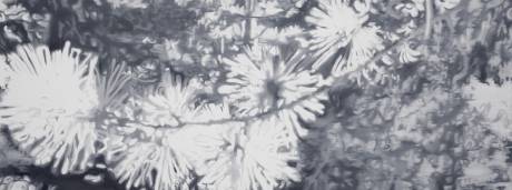 Ladina Gaudenz  » Klicken zum Vergrössern ->