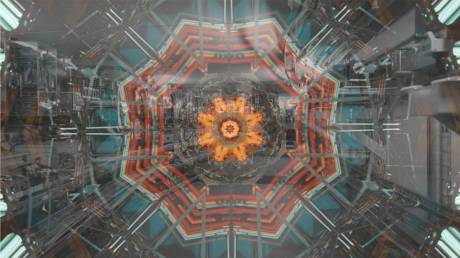 radiating bloom, 2012.  » Klicken zum Vergrössern ->