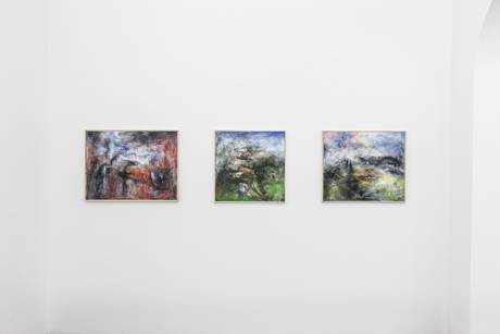 Reto Cavigelli, enclars e pitgognas  » Klicken zum Vergrössern ->