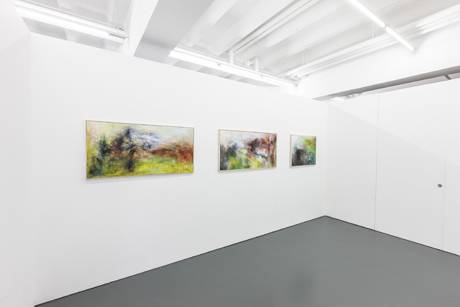 Reto Cavigelli, enclars e pitgognas  &raquo; Klicken zum Vergr&ouml;ssern ->